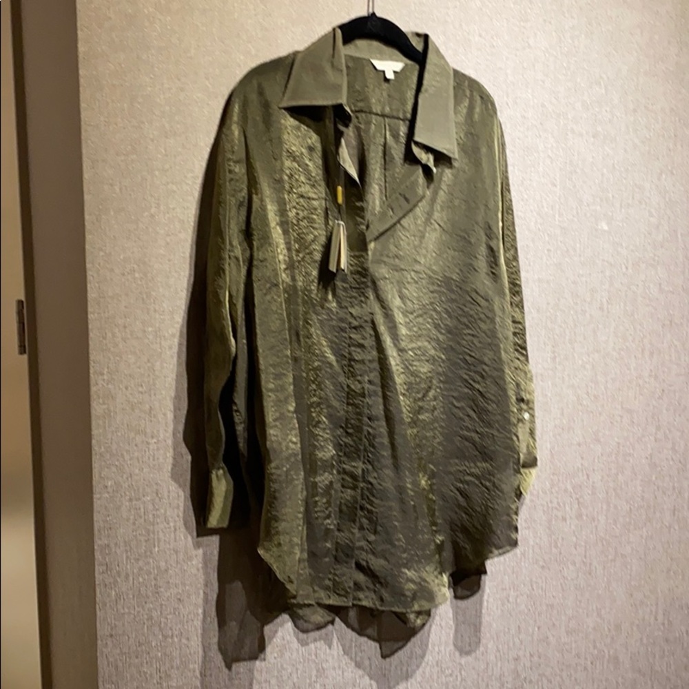 Sheer Massimo Dutti green button down